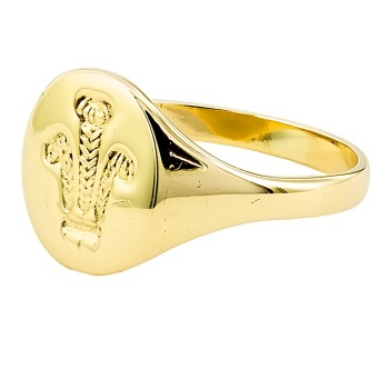 9ct gold 3.9g Signet Ring size X